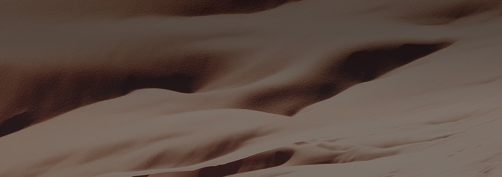 Abstract sand dune textures in warm tones.
